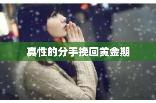 真性的分手挽回黄金期