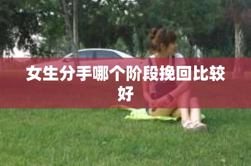 女生分手哪个阶段挽回比较好