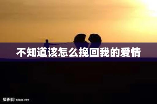 不知道该怎么挽回我的爱情