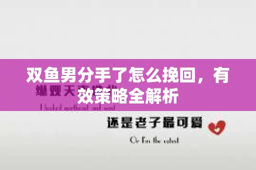 双鱼男分手了怎么挽回，有效策略全解析