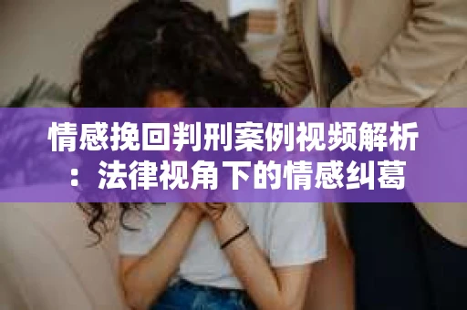 情感挽回判刑案例视频解析：法律视角下的情感纠葛