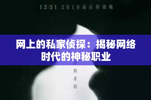 网上的私家侦探：揭秘网络时代的神秘职业
