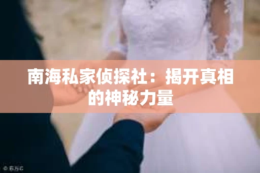南海私家侦探社：揭开真相的神秘力量