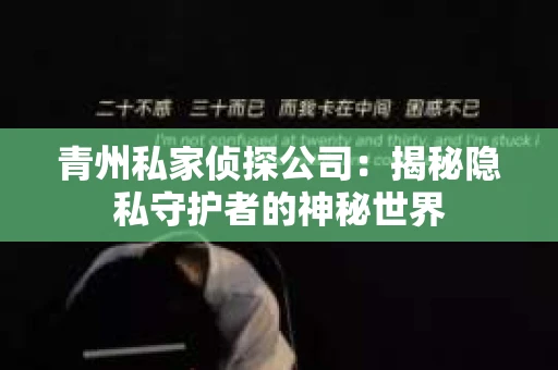青州私家侦探公司：揭秘隐私守护者的神秘世界
