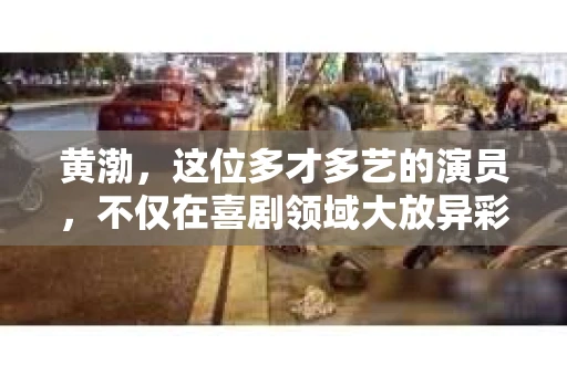 黄渤，这位多才多艺的演员，不仅在喜剧领域大放异彩，在悬疑侦探题材的电影中，也展现出了他独特的魅力。今天，我们就来聊聊黄渤扮演私家侦探的电影，看看这位喜剧之王如何在悬疑侦探的世界里，给我们带来不一样的惊喜。