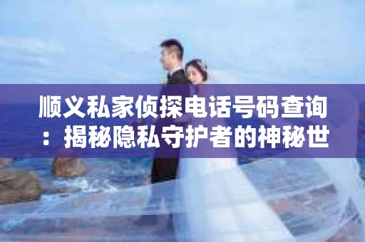顺义私家侦探电话号码查询：揭秘隐私守护者的神秘世界