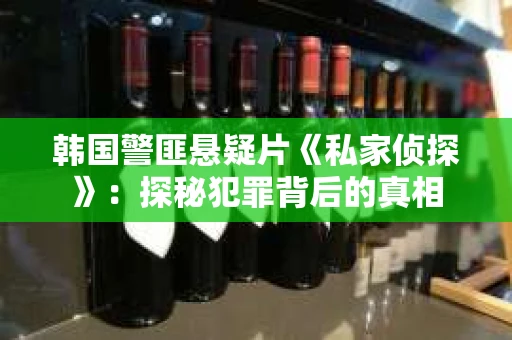 韩国警匪悬疑片《私家侦探》：探秘犯罪背后的真相