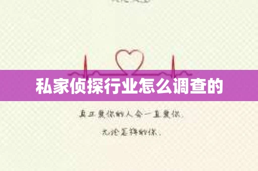 私家侦探行业怎么调查的