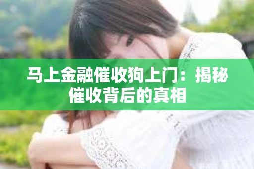 马上金融催收狗上门：揭秘催收背后的真相