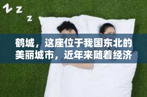 鹤城，这座位于我国东北的美丽城市，近年来随着经济的发展，各类金融服务也应运而生。然而，随之而来的逾期债务问题也日益凸显，催收公司应运而生。那么，鹤城的催收公司有哪些呢？今天，我们就来聊聊这个话题。
