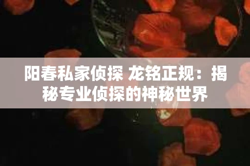 阳春私家侦探 龙铭正规：揭秘专业侦探的神秘世界