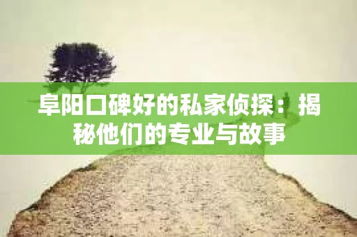 阜阳口碑好的私家侦探：揭秘他们的专业与故事