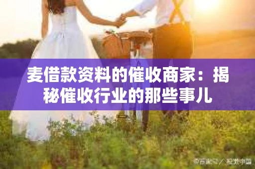 麦借款资料的催收商家：揭秘催收行业的那些事儿