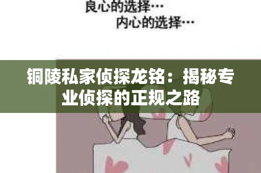 铜陵私家侦探龙铭：揭秘专业侦探的正规之路