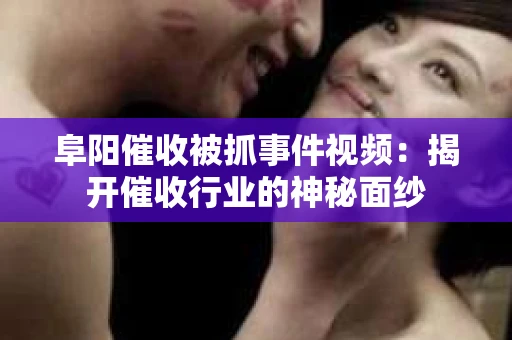 阜阳催收被抓事件视频：揭开催收行业的神秘面纱