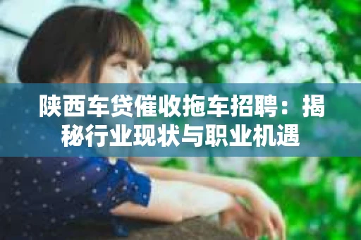 陕西车贷催收拖车招聘：揭秘行业现状与职业机遇
