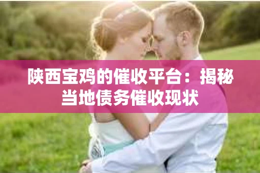 陕西宝鸡的催收平台：揭秘当地债务催收现状