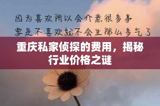 重庆私家侦探的费用，揭秘行业价格之谜