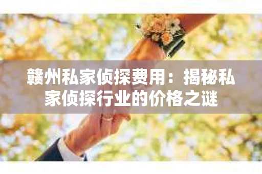 赣州私家侦探费用：揭秘私家侦探行业的价格之谜