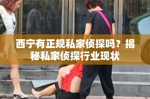 西宁有正规私家侦探吗？揭秘私家侦探行业现状