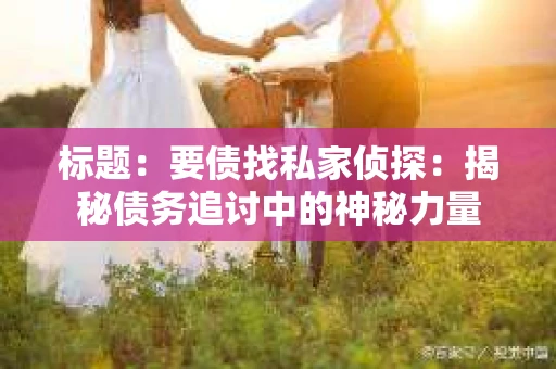标题：要债找私家侦探：揭秘债务追讨中的神秘力量