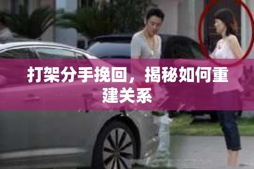 打架分手挽回，揭秘如何重建关系
