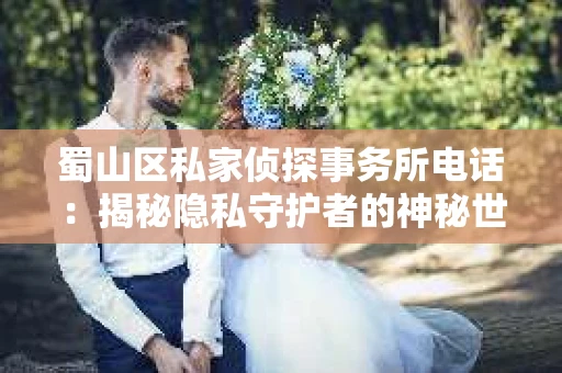蜀山区私家侦探事务所电话：揭秘隐私守护者的神秘世界