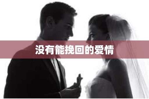 没有能挽回的爱情