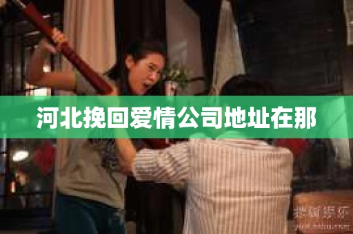 河北挽回爱情公司地址在那