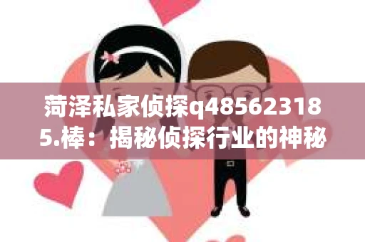 菏泽私家侦探q485623185.棒：揭秘侦探行业的神秘面纱
