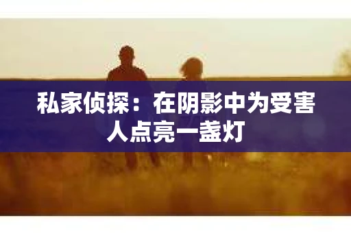 私家侦探：在阴影中为受害人点亮一盏灯